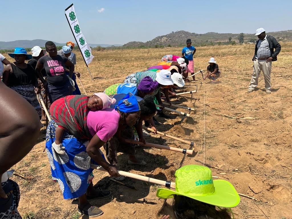 The importance of agriculture to rural women.